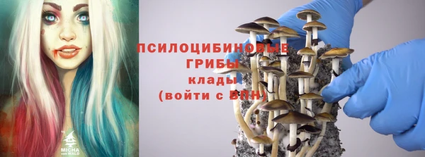 соль ск Алзамай
