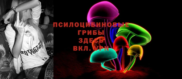 ECSTASY Алексин