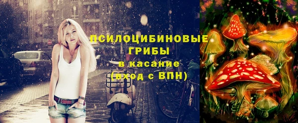 мяу мяу мука Абаза