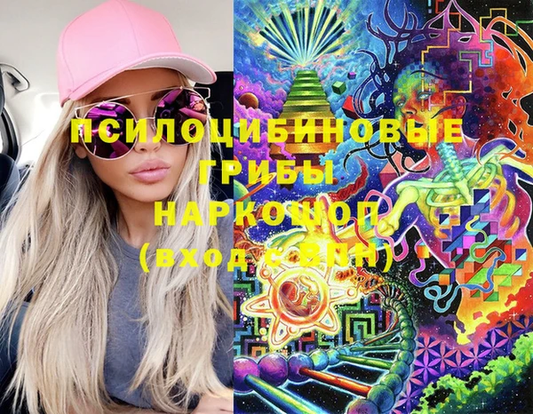 мяу мяу мука Абаза