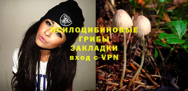 мяу мяу мука Абаза
