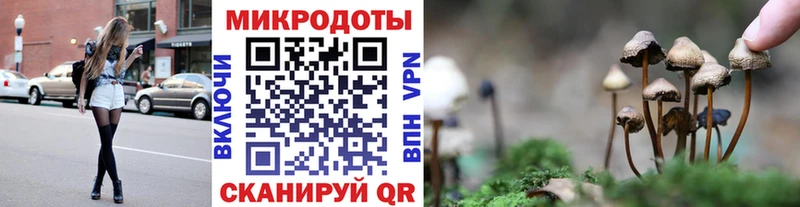 Псилоцибиновые грибы Psilocybine cubensis Анапа