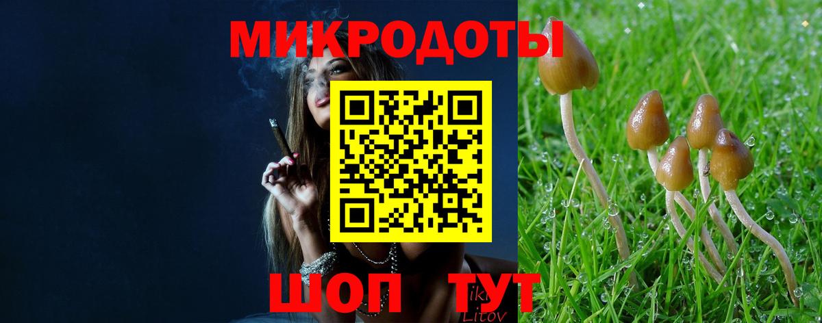 Псилоцибиновые грибы Cubensis Анапа