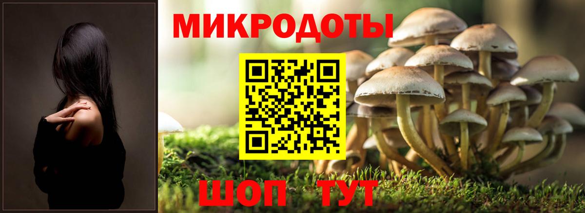 Анапа  Псилоцибиновые грибы Psilocybe  Вход с VPN  Псилоцибиновые грибы Psilocybe 